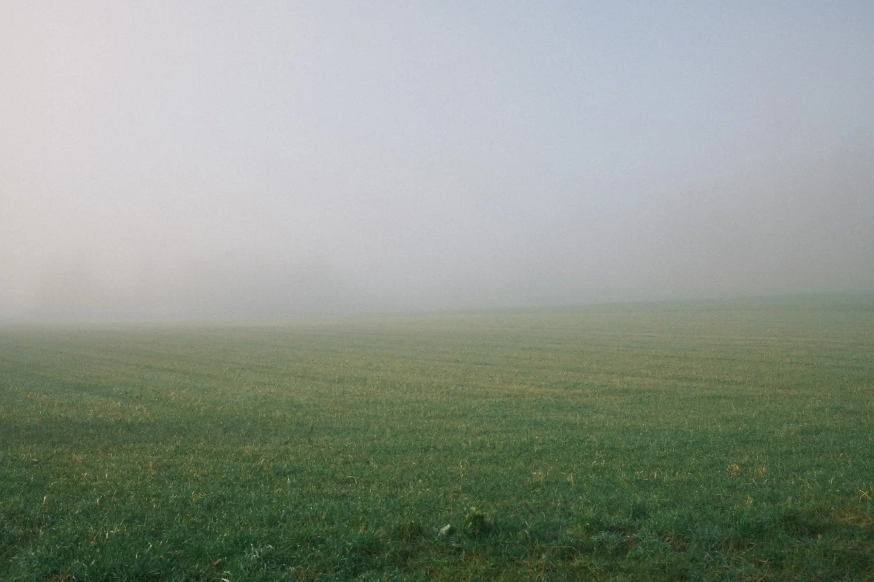 Open green land under a pale misty sky